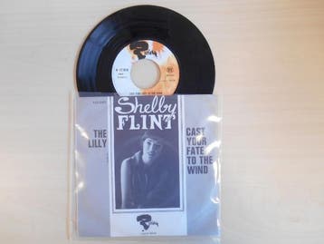 vinyl single 7 inch - Shelby Flint - Cast Your Fate To Th..., Verzenden, Zo goed als nieuw, 7 inch, Pop