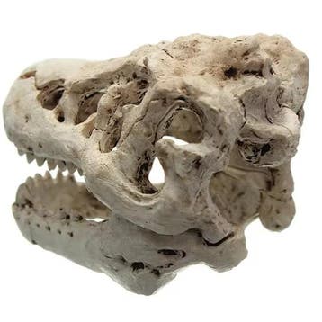 Dinosaurus Fossiel Aquarium Decoratie Hars Ornament, Verzenden, Nieuw