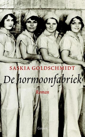 De hormoonfabriek - Saskia Goldschmidt 9789059363694, Verzenden, Gelezen, Saskia Goldschmidt