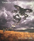 David Gilmour - Rattle That Lock, Ophalen of Verzenden, Gebruikt