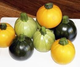 Ball F1 Rondini mixture kalebas 50 zaden, Ophalen of Verzenden, Nieuw