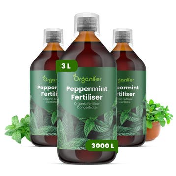 Vloeibare pepermuntmest - Set 3x1 liter, Verzenden, Mest