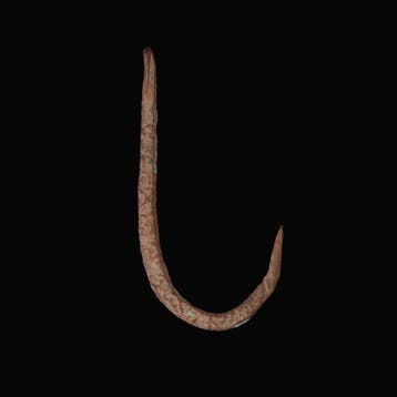 Oud-Romeins Brons Vishaak (Zonder minimumprijs), Antiek en Kunst