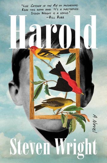 Harold | Steven Wright | Nieuw, Ophalen of Verzenden, Nieuw, Steven Wright