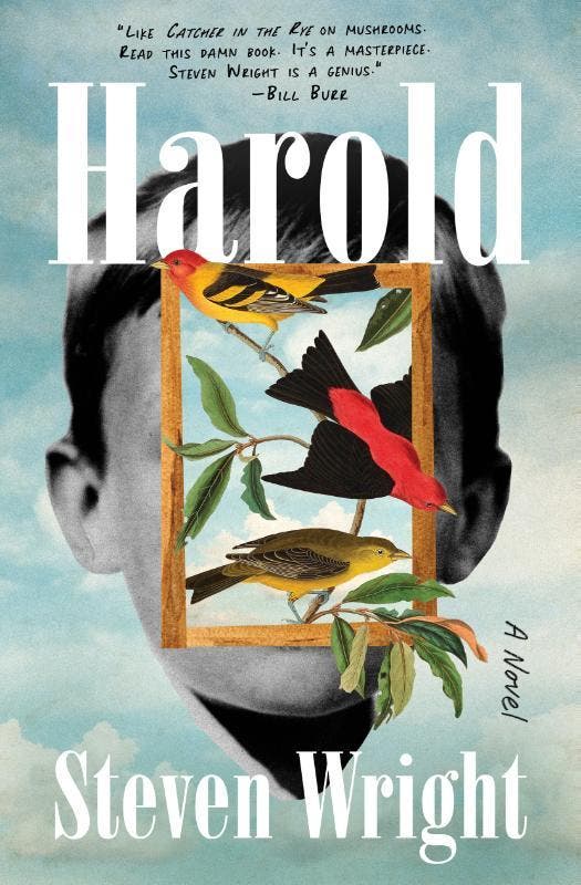 Harold | Steven Wright | Nieuw, Boeken, Literatuur, Nieuw, Ophalen of Verzenden