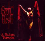 cd digi - Septic Flesh - A Fallen Temple, Verzenden, Zo goed als nieuw