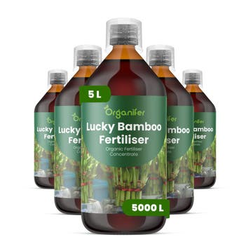 Vloeibare meststof Geluksbamboe - Set 5x1 liter, Verzenden, Mest