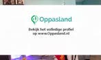 Rashmi zoekt een oppas in Alphen aan den Rijn voor 1 kind..., Sieraden, Tassen en Uiterlijk, Kettingen, Nieuw