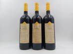 1997 Tenimenti d Alessandro, Il Bosco - Toscane - 3 Magnum, Verzamelen, Nieuw