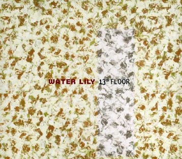 cd - Lily Water - 13th Floor, Verzenden, Zo goed als nieuw