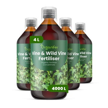 Vloeibare meststof voor wijnstok en wilde wijn - Set 4x1, Verzenden, Mest