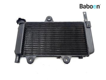 Radiateur Yamaha XT 660 X 2004-2014 (XT660X), Verzenden, Gebruikt