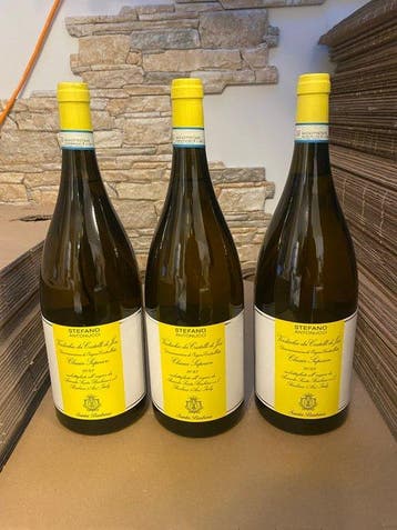 2024 Santa Barbara, Verdicchio dei Castelli di Jesi Classico, Nieuw