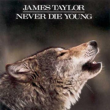 cd - James Taylor - Never Die Young, Verzenden, Zo goed als nieuw