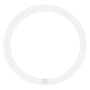 Ledvance LED T9 24W/840 | Vervangt Philips TL-E 40W/840 /..., Ophalen of Verzenden, Nieuw