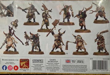 Maggotkin of Nurgle Pestigors (Warhammer Age of Sigmar, Hobby en Vrije tijd, Ophalen of Verzenden, Nieuw