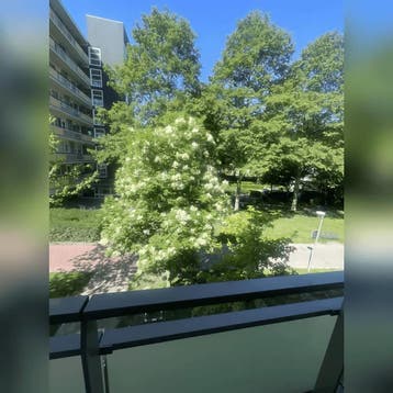 Appartement in Schiedam gevonden voor €780,- pm, Direct bij eigenaar, Zuid-Holland, Appartement, Schiedam