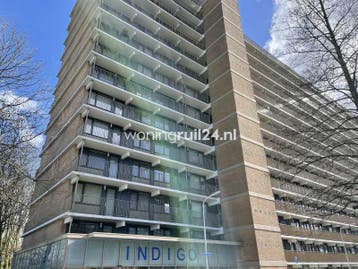 Woningruil - Indigostraat 40 - 3 kamers en Noord-Holland, Noord-Holland