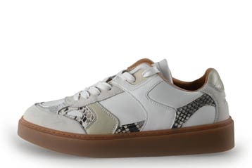 Shabbies Amsterdam Sneakers in maat 41 Overig, Kleding | Dames, Overige kleuren, Shabbies Amsterdam, Verzenden, Sneakers of Gympen