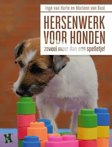 Hersenwerk voor honden - Inge van Harte 9789493160491, Verzenden, Zo goed als nieuw, Inge van Harte