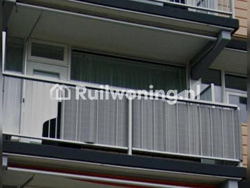 Rhenen flat voor jouw eengezinswoning (Utrecht), Utrecht