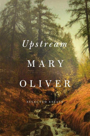 9781594206702 Upstream Mary Oliver, Verzenden, Nieuw, Mary Oliver