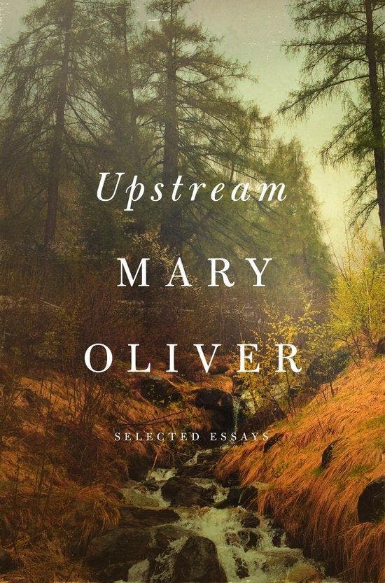 9781594206702 Upstream Mary Oliver, Boeken, Studieboeken en Cursussen, Nieuw, Verzenden