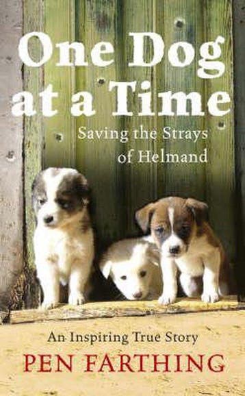 One Dog at a Time - Pen Farthing 9780091928803, Verzenden, Gelezen, Pen Farthing