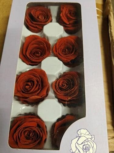 Geconserveerde rozen Geprepareerd Rood Earth doos 8 stuks, Hobby en Vrije tijd, Knutselen, Nieuw, Ophalen of Verzenden