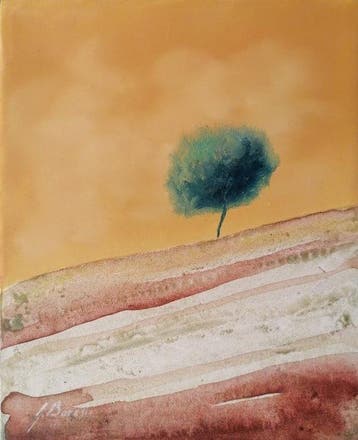 Guido Borelli - Plinio