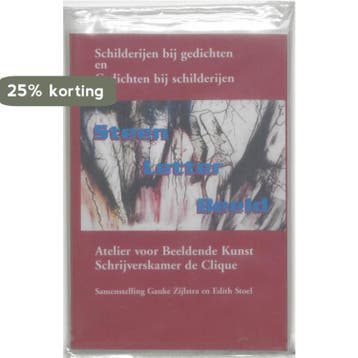 SteenLetterBeeld 9789051790917, Verzenden, Gelezen