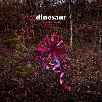 cd - dinosaur - WONDER TRAIL (nieuw), Verzenden, Zo goed als nieuw