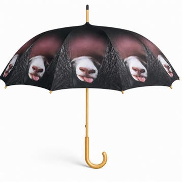 Paraplu Nieuwschierig schaap 105cm, Verzenden, Nieuw