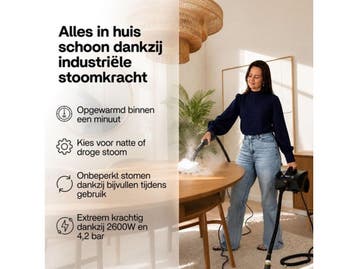 Techweise TS3 Edge - Stoomreiniger - 2600W 4,2 Bar Stoomdruk, Verzenden, Nieuw
