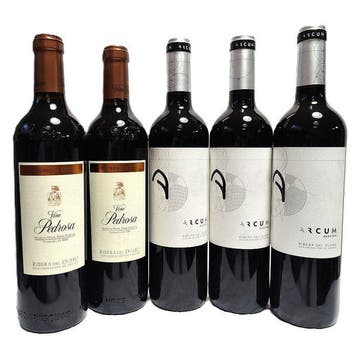 2021 Hnos. Pérez Pascuas, Viña Pedrosa, reserva x2 & 2021, Nieuw