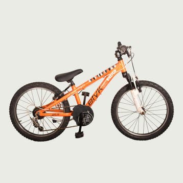 BikeFlip kinderfiets 20 inch, Ophalen of Verzenden, Gebruikt, BikeFlip