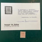 Luxemburg 1881 - Dienst : 12,5 cent wapenschild - MH -, Gestempeld