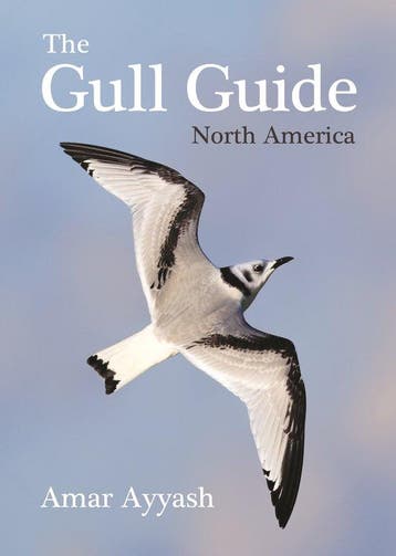 9780691195896 The Gull Guide Amar Ayyash, Verzenden, Nieuw, Amar Ayyash