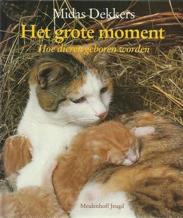 Het grote moment - Dekkers, Boeken, Verzenden, Gelezen