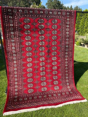 Top Pakistan tapijt - Tapijt - 260 cm - 170 cm, Nieuw