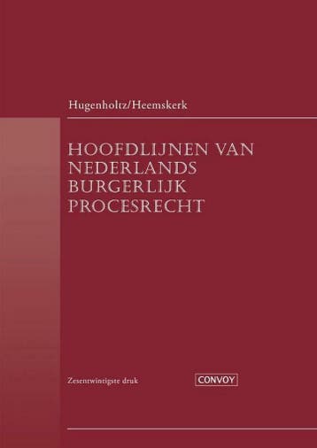 9789463173001 Hoofdlijnen van Nederlands Burgerlijk Proce..., Verzenden, Zo goed als nieuw, W. Hugenholtz