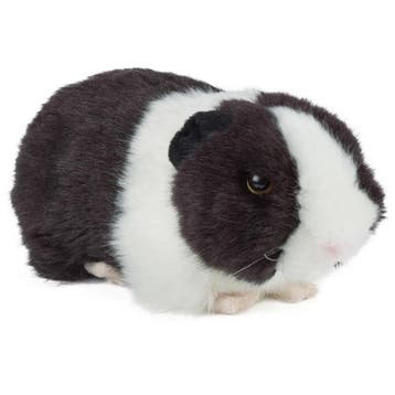 Cavia knuffel - pluche - 20 cm - zwart - speelgoed, Verzenden, Nieuw
