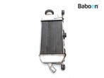 Radiateur Rechts Kawasaki KLX 250 S 2012-2016, Motoren, Verzenden, Gebruikt