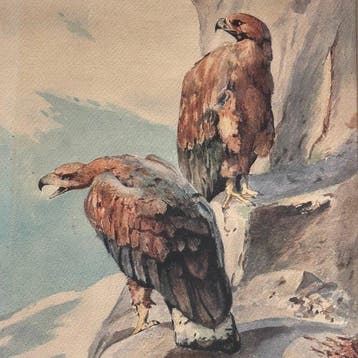Ludwig Jaeger (XX) - Steinadlerpaar auf Felsenhorst