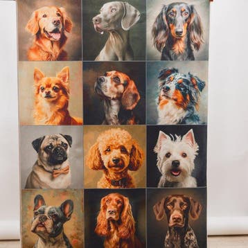 AA175 - Decoratieve stof met 12 honden in schilderachtig, Antiek en Kunst