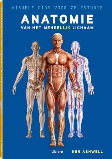 Boek Anatomie van het menselijk lichaam 9789463597227, Verzenden, Zo goed als nieuw
