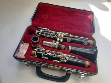 Saxofoon of klarinet huren, Ophalen, Kunststof, Overige typen, Zo goed als nieuw