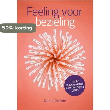 Feeling voor bezieling - Dorine Smilde 9789492528735, Verzenden, Gelezen, Dorine Smilde