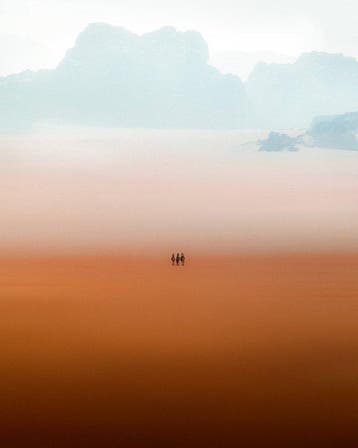 Sara Zanini - Desert Silence