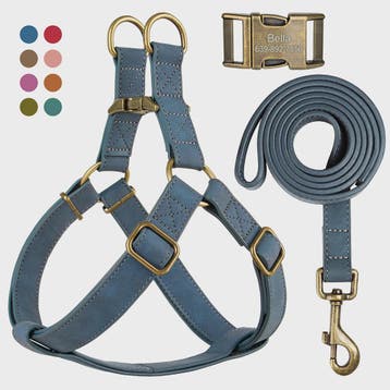 Luxe PU Leder Hondentuig met Leash en Gepersonaliseerde ID G, Verzenden, Nieuw